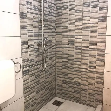 Apartment Central Vip