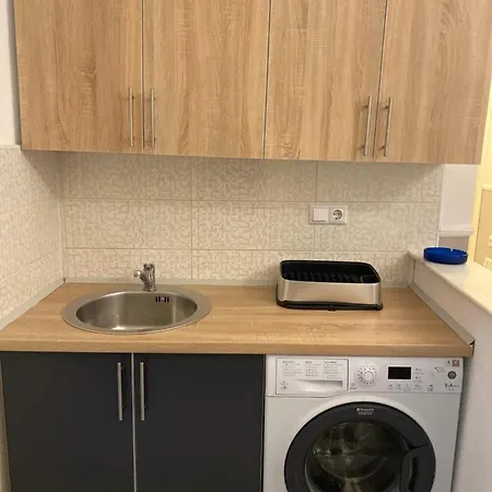 Apartment Central Vip *