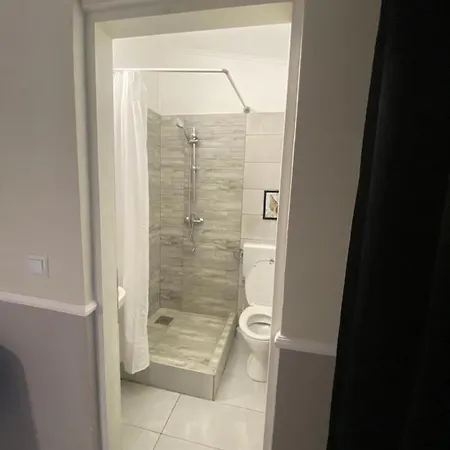 Apartment Central Vip